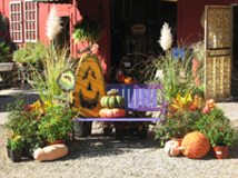 Pooches and Pumpkins 2010