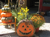 Pooches and Pumpkins 2010