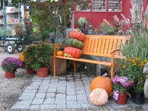 Pooches and Pumpkins 2010