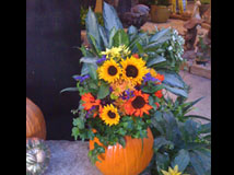 Pumpkin Carving Contest Winner 2010